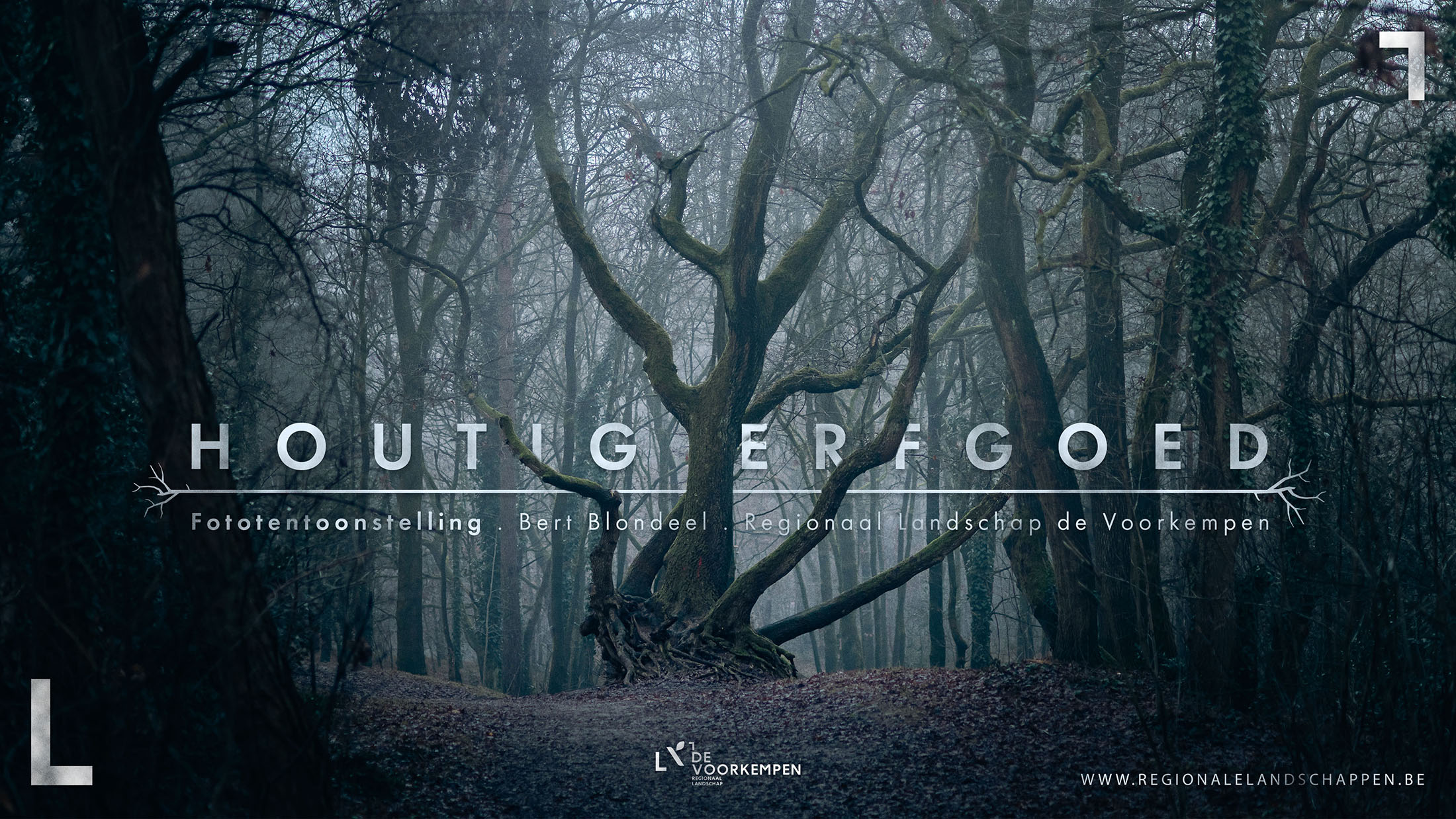 Expo - Houtig Erfgoed