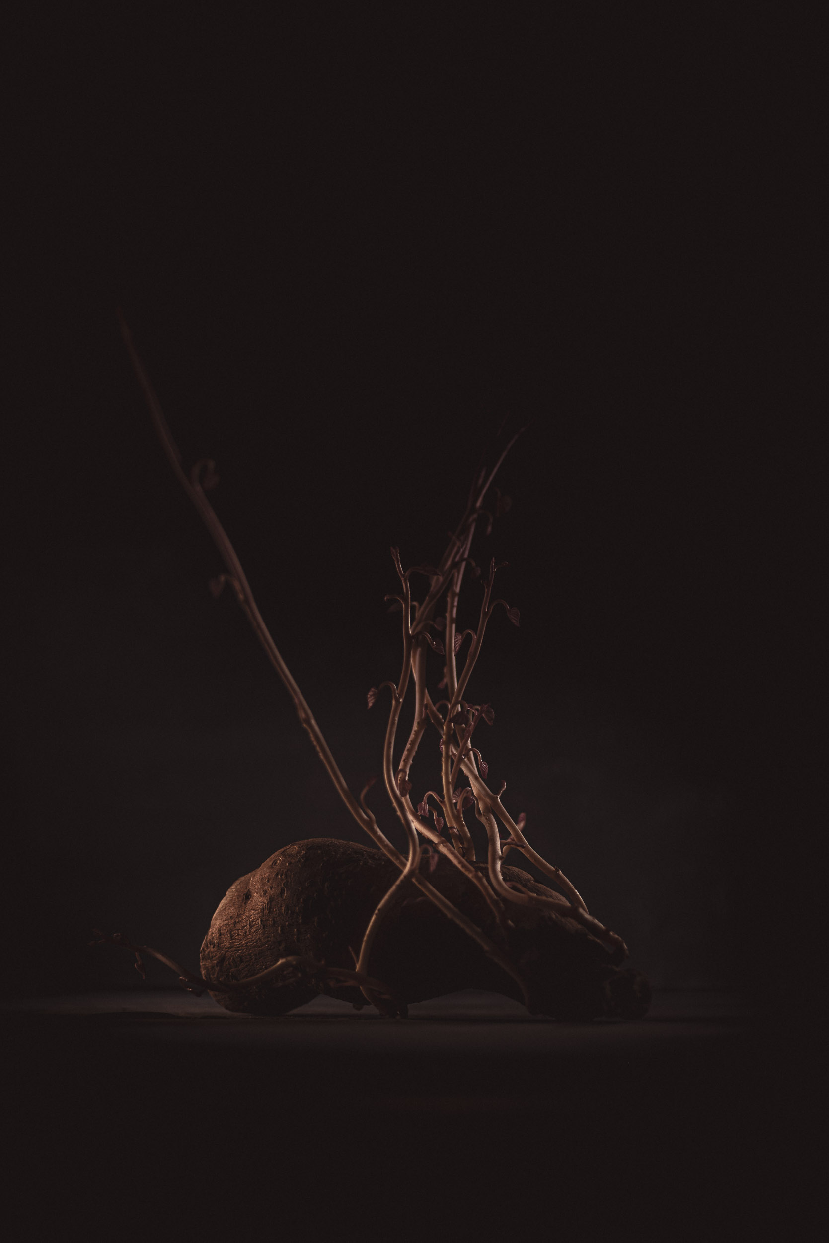 Product photography: Low light experiments with a sweet potato / Photos © 2022 Bert Blondeel
