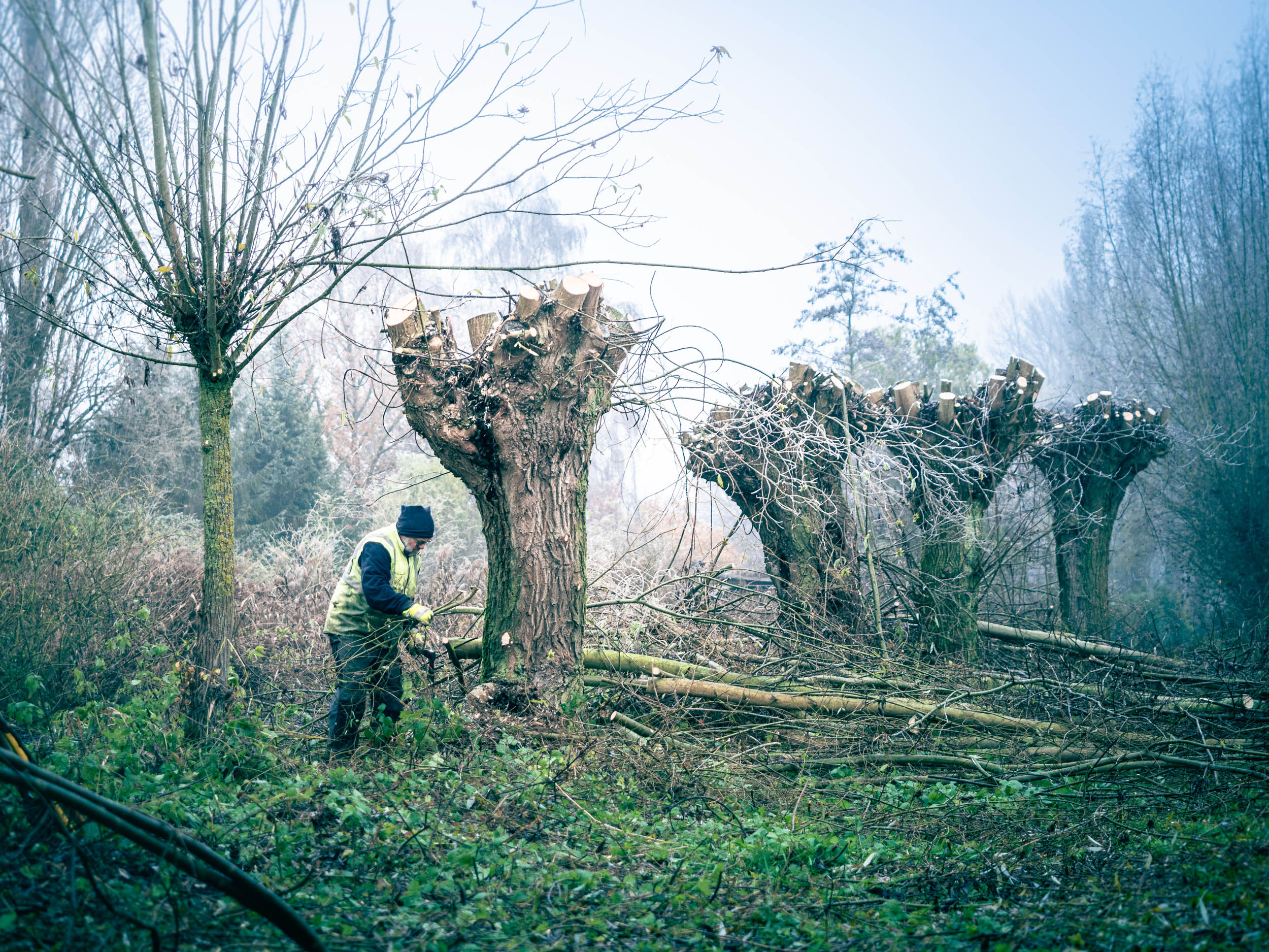 Reportage: Natuurpunt volunteers, working in the Sint-Onolfspolders / © Bert Blondeel - for Natuurpunt Dendermonding