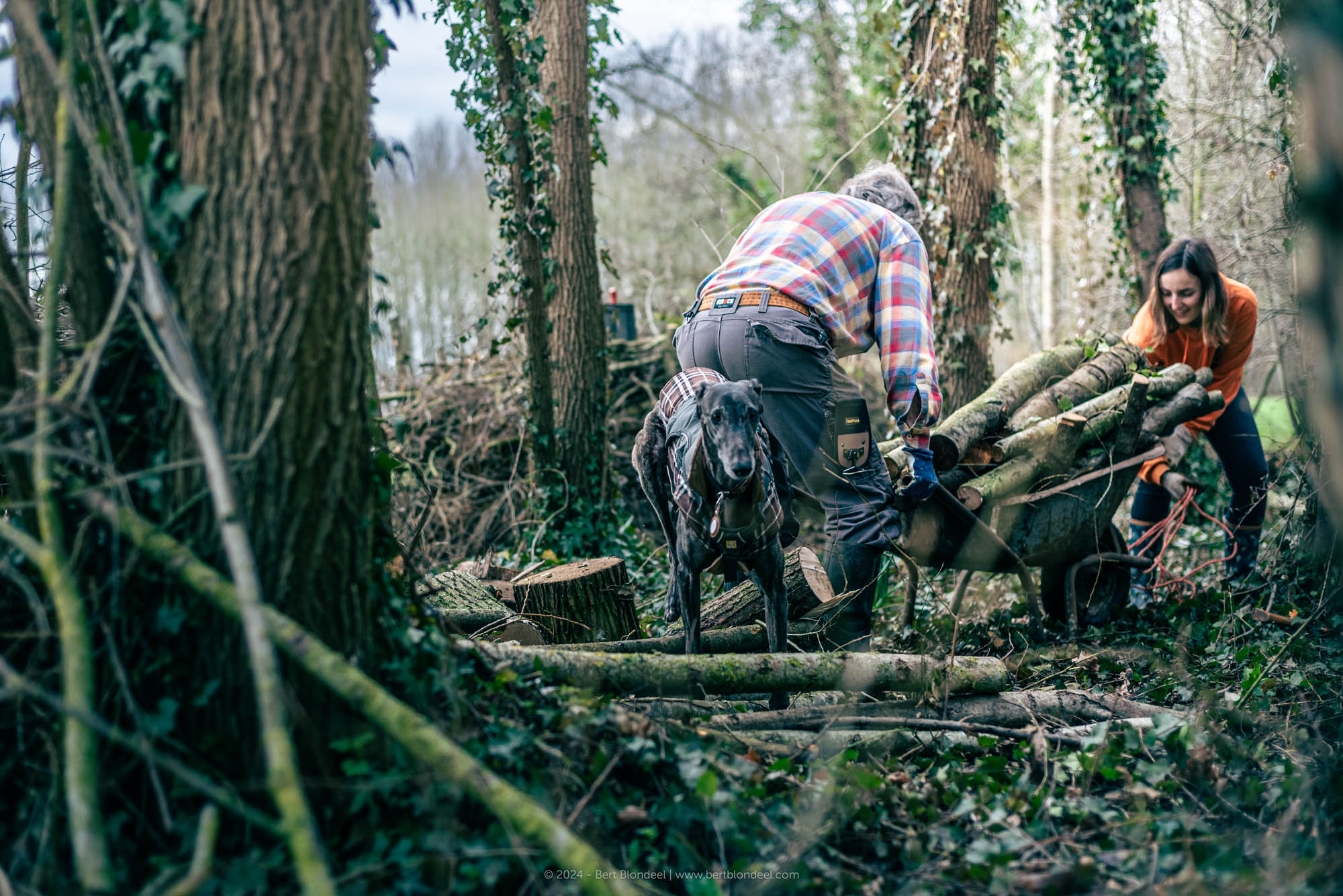 Reportage: Natuurpunt volunteers, working in the Padde- and Porrebeek valley / © Bert Blondeel - for Natuurpunt Dendermonding