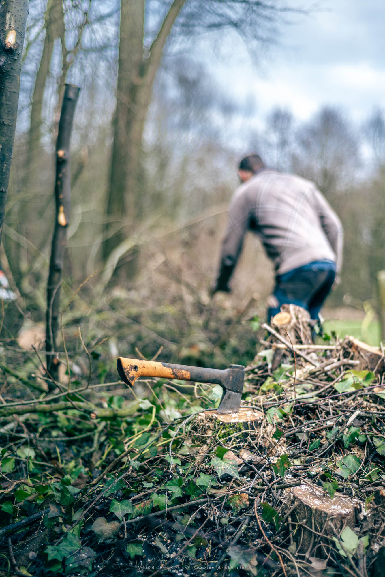 Reportage: Natuurpunt volunteers, working in the Padde- and Porrebeek valley / © Bert Blondeel - for Natuurpunt Dendermonding