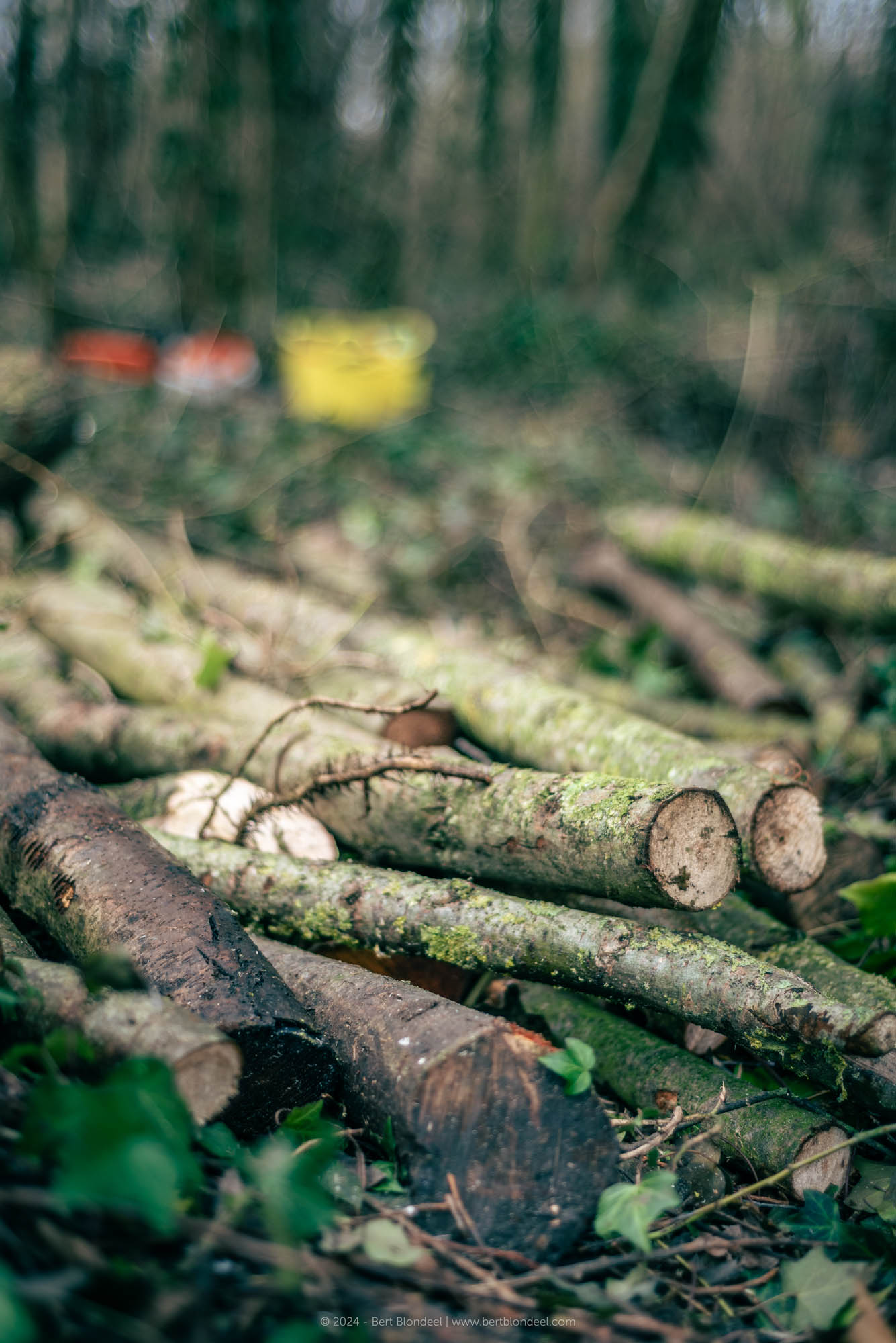 Reportage: Natuurpunt volunteers, working in the Padde- and Porrebeek valley / © Bert Blondeel - for Natuurpunt Dendermonding