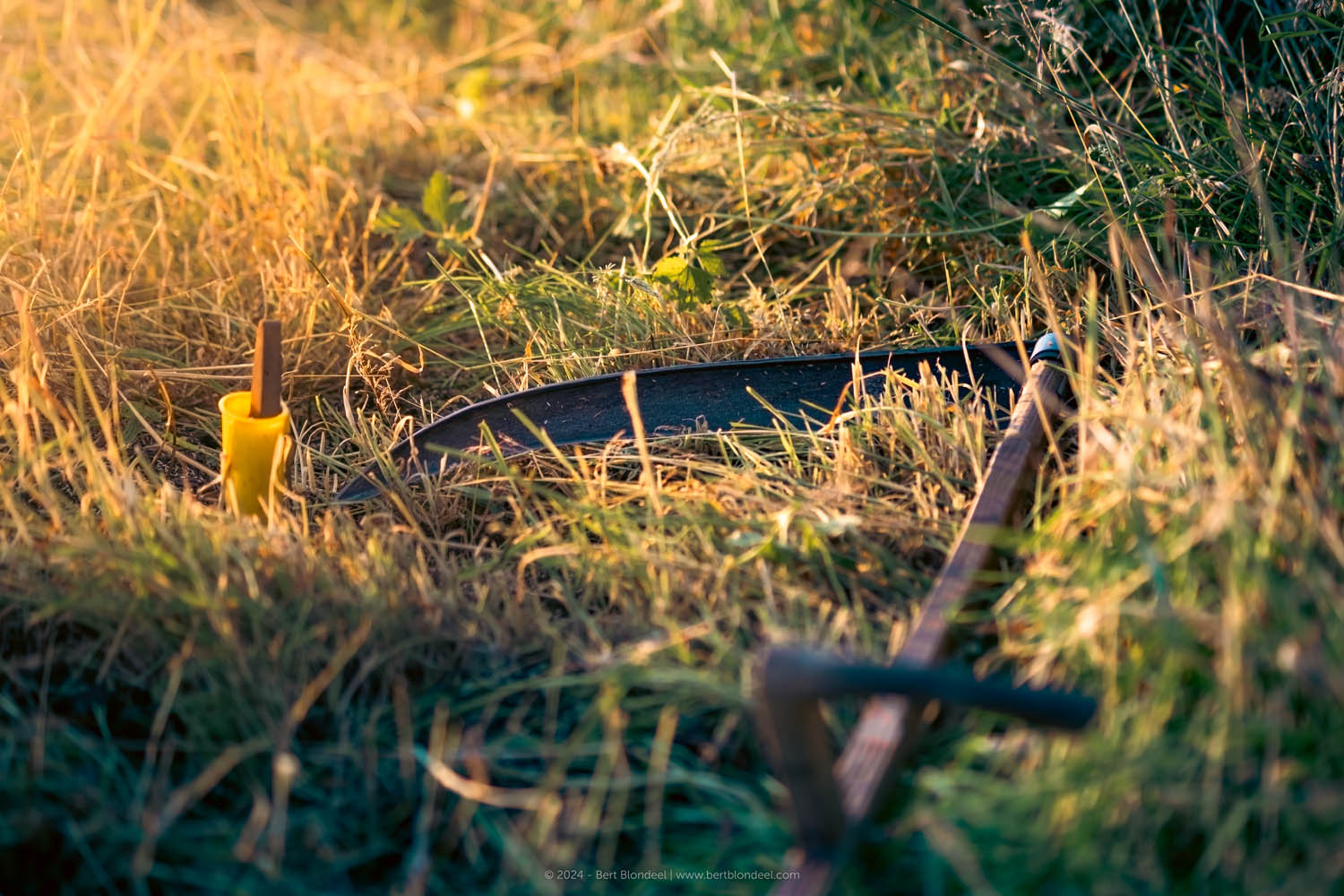Reportage: Natuurpunt volunteers gather to scythe the grasslands in the Sint-Onolfspolders / © Bert Blondeel - for Natuurpunt Dendermonding