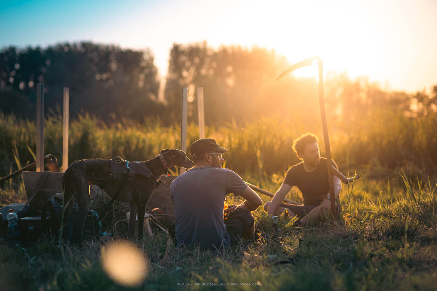 Reportage: Natuurpunt volunteers gather to scythe the grasslands in the Sint-Onolfspolders / © Bert Blondeel - for Natuurpunt Dendermonding
