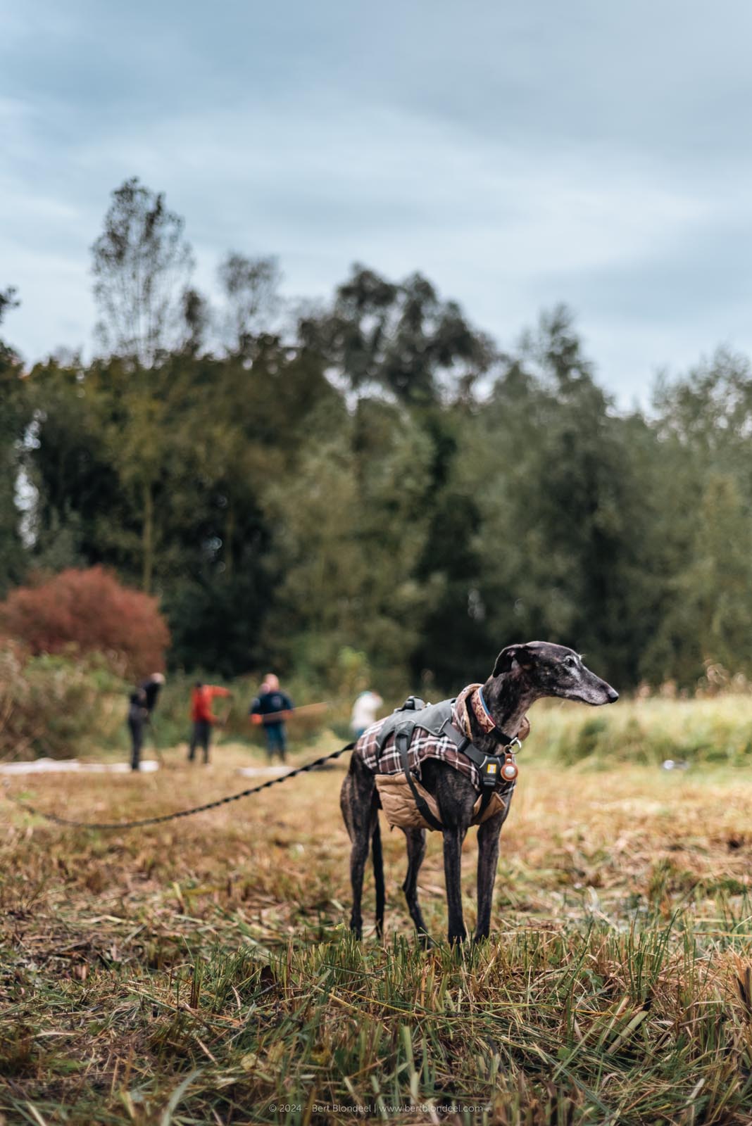 Reportage: Natuurpunt volunteers gather to clean up the grasslands in the Sint-Onolfspolders / © Bert Blondeel - for Natuurpunt Dendermonding