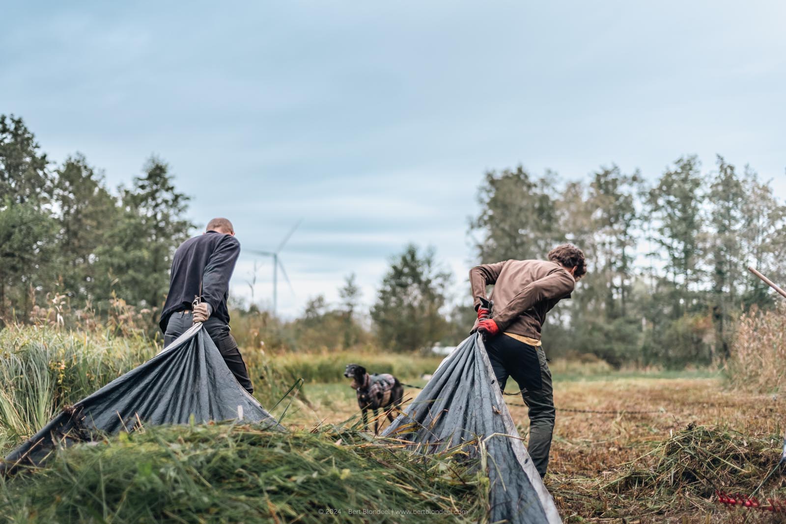 Reportage: Natuurpunt volunteers gather to clean up the grasslands in the Sint-Onolfspolders / © Bert Blondeel - for Natuurpunt Dendermonding