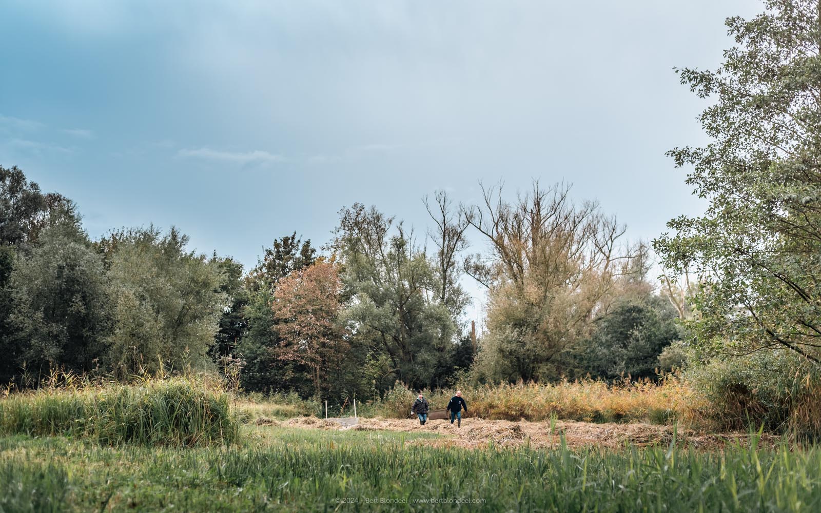 Reportage: Natuurpunt volunteers gather to clean up the grasslands in the Sint-Onolfspolders / © Bert Blondeel - for Natuurpunt Dendermonding