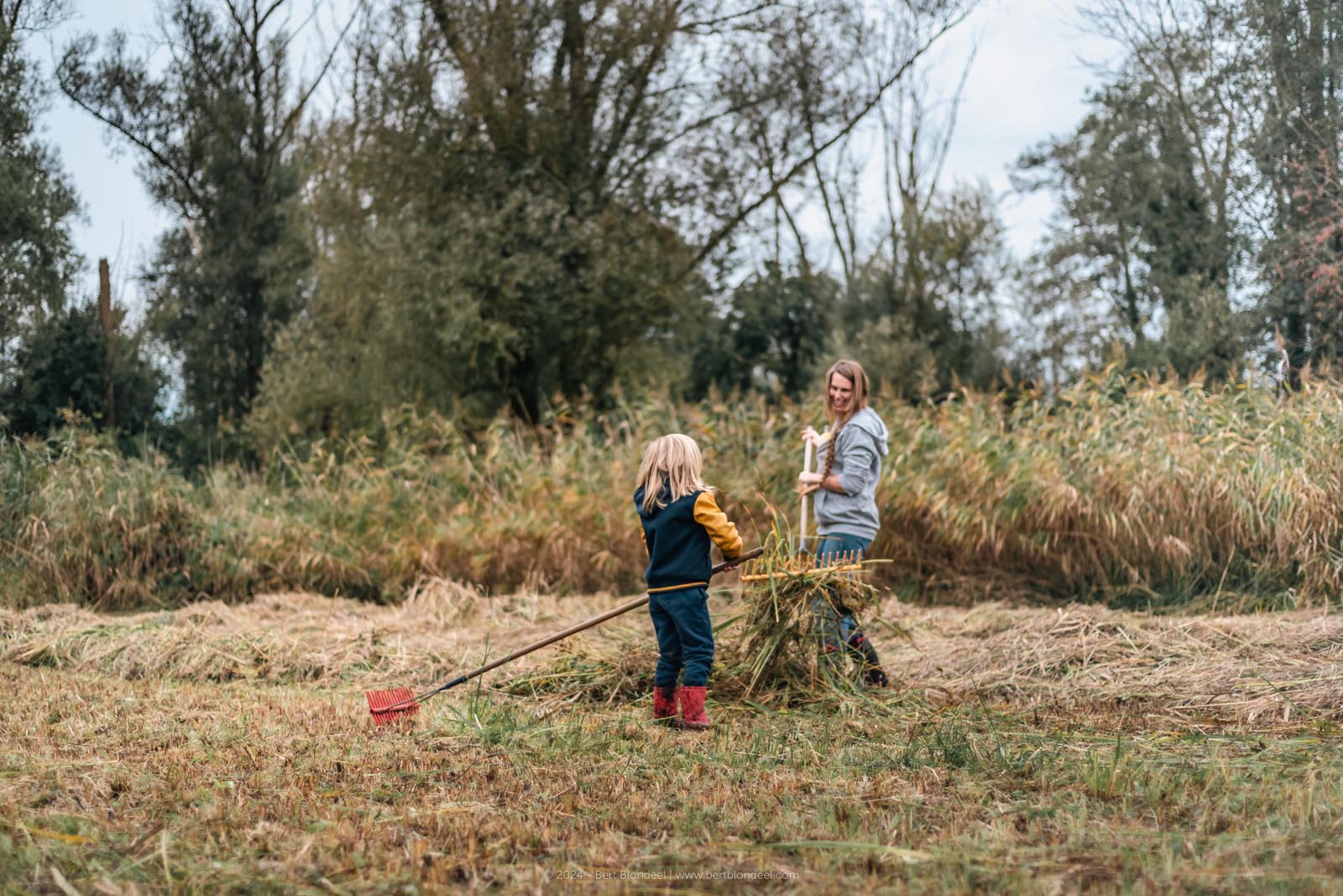 Reportage: Natuurpunt volunteers gather to clean up the grasslands in the Sint-Onolfspolders / © Bert Blondeel - for Natuurpunt Dendermonding