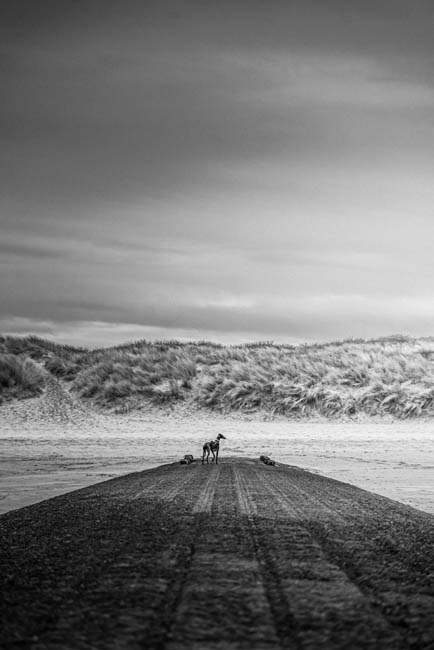 LANDSCAPE - SEASCAPE: Knokke-Heist, January 1st, 2023 / Photos © 2023 Bert Blondeel