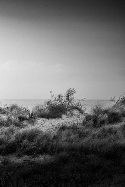 LANDSCAPE - SEASCAPE: Knokke-Heist, January 1st, 2023 / Photos © 2023 Bert Blondeel