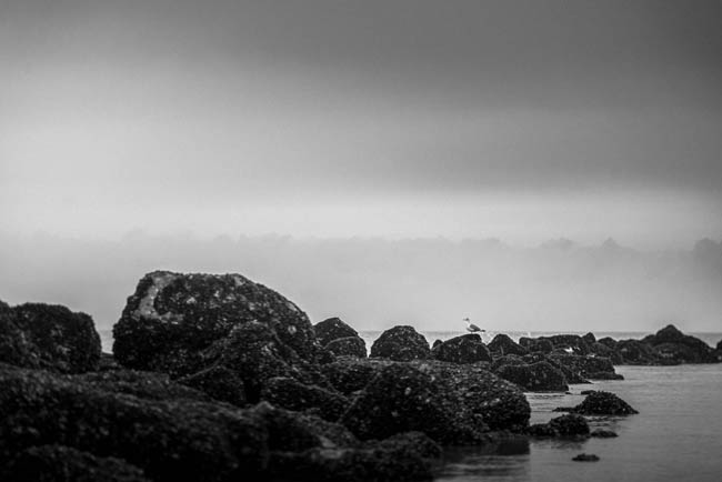 LANDSCAPE - SEASCAPE: Knokke-Heist, January 1st, 2023 / Photos © 2023 Bert Blondeel