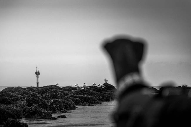 LANDSCAPE - SEASCAPE: Knokke-Heist, January 1st, 2023 / Photos © 2023 Bert Blondeel