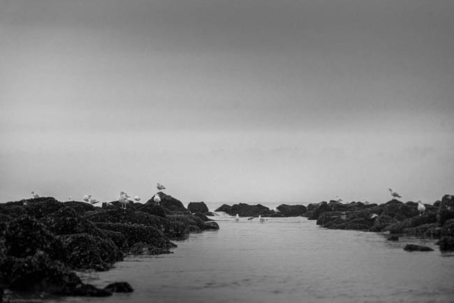 LANDSCAPE - SEASCAPE: Knokke-Heist, January 1st, 2023 / Photos © 2023 Bert Blondeel