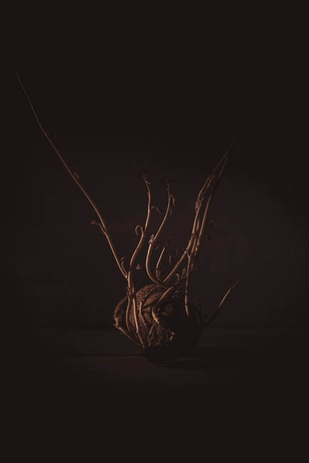 Product photography: Low light experiments with a sweet potato / Photos © 2022 Bert Blondeel