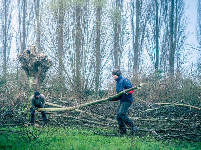 Reportage: Natuurpunt volunteers, working in the Sint-Onolfspolders / © Bert Blondeel - for Natuurpunt Dendermonding