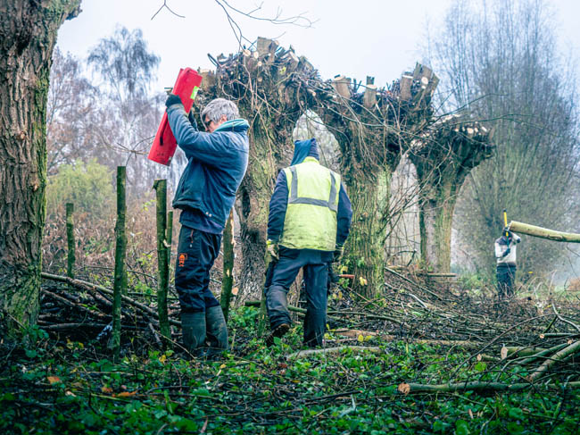 Reportage: Natuurpunt volunteers, working in the Sint-Onolfspolders / © Bert Blondeel - for Natuurpunt Dendermonding