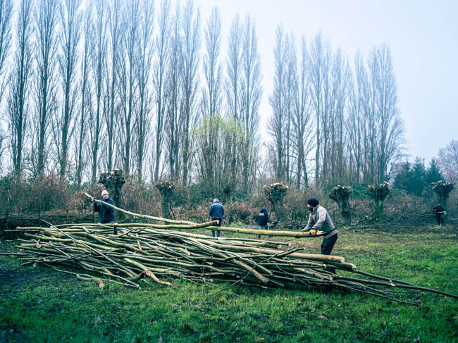 Reportage: Natuurpunt volunteers, working in the Sint-Onolfspolders / © Bert Blondeel - for Natuurpunt Dendermonding