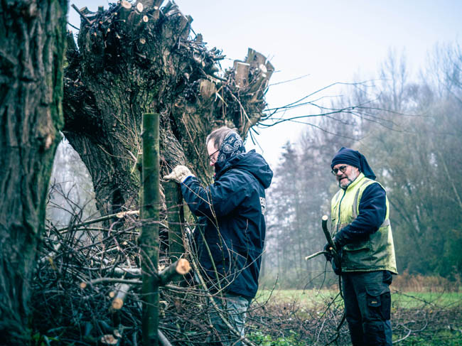 Reportage: Natuurpunt volunteers, working in the Sint-Onolfspolders / © Bert Blondeel - for Natuurpunt Dendermonding