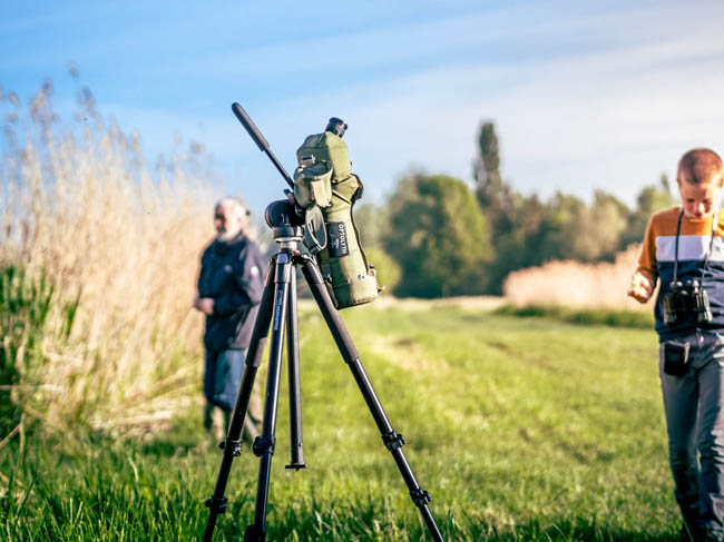 Reportage: Early Bird hike / © Bert Blondeel - for Natuurpunt Dendermonding