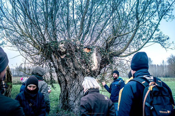 Reportage: Natuurpunt winter hike in the Padde- and Porrebeek valley / © Bert Blondeel - for Natuurpunt Dendermonding