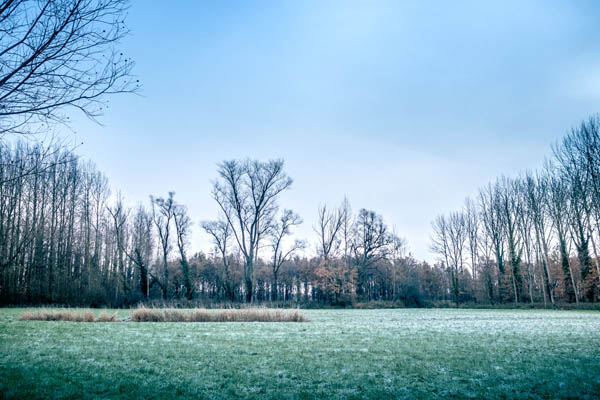 Reportage: Natuurpunt winter hike in the Padde- and Porrebeek valley / © Bert Blondeel - for Natuurpunt Dendermonding