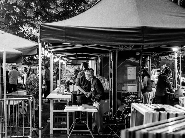 Concert: The Whodads performing at 'Jazz in het Park XL 2023' / © 2023 - Bert Blondeel