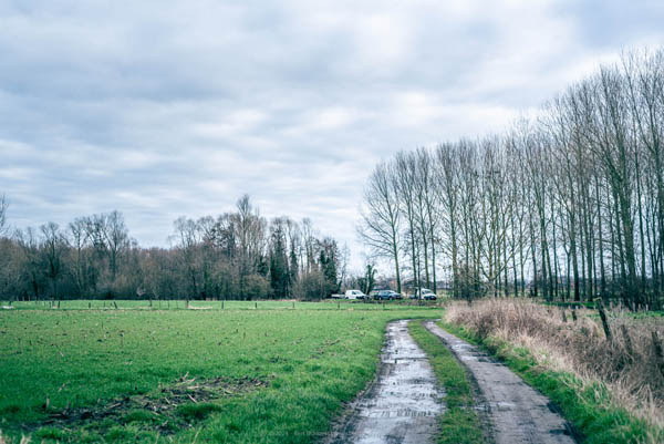 Reportage: Natuurpunt volunteers, working in the Padde- and Porrebeek valley / © Bert Blondeel - for Natuurpunt Dendermonding