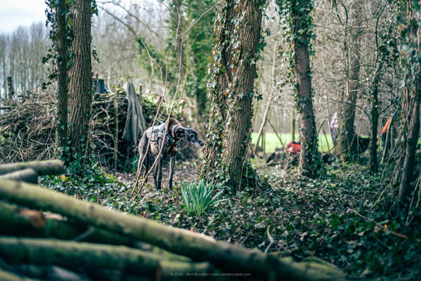 Reportage: Natuurpunt volunteers, working in the Padde- and Porrebeek valley / © Bert Blondeel - for Natuurpunt Dendermonding