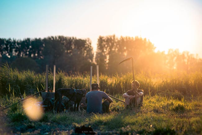 Reportage: Natuurpunt volunteers gather to scythe the grasslands in the Sint-Onolfspolders / © Bert Blondeel - for Natuurpunt Dendermonding
