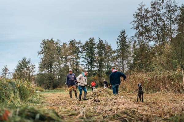 Reportage: Natuurpunt volunteers gather to clean up the grasslands in the Sint-Onolfspolders / © Bert Blondeel - for Natuurpunt Dendermonding
