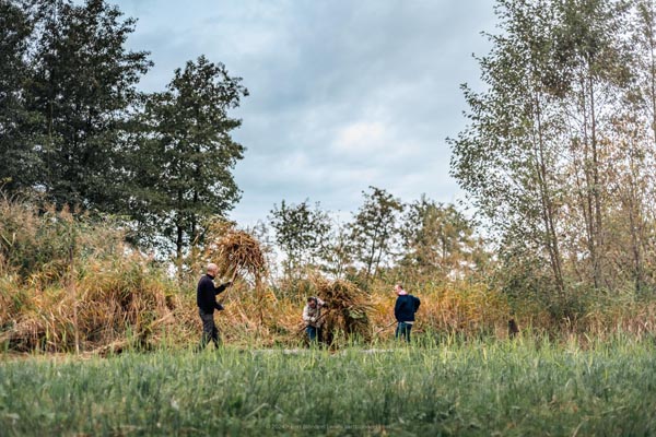 Reportage: Natuurpunt volunteers gather to clean up the grasslands in the Sint-Onolfspolders / © Bert Blondeel - for Natuurpunt Dendermonding