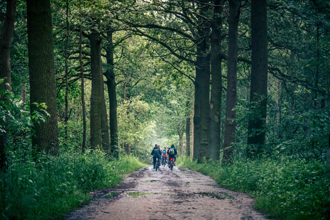 Reportage: Regionaal Landschap Schelde-Durme: Dag van het Regionaal Landschap 2024