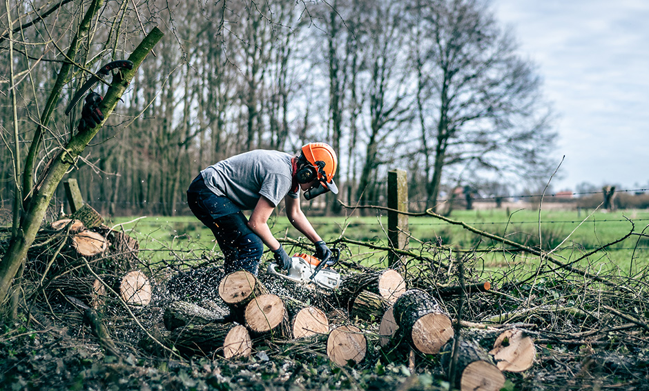 REPORTAGE: Beheerwerken Padde- en Porrebeek